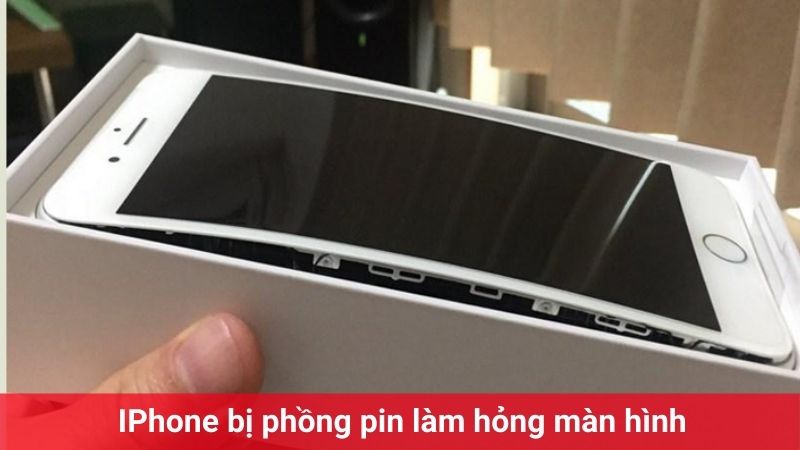 iphone 8 plus hỏng màn hình