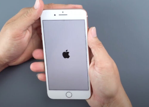 Thay loa trong, ngoài iPhone 8, 8 Plus