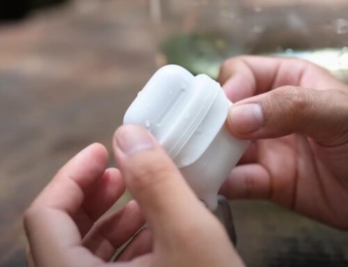 Top 8 mẫu bao đựng tai nghe Airpods phong cách, giá rẻ