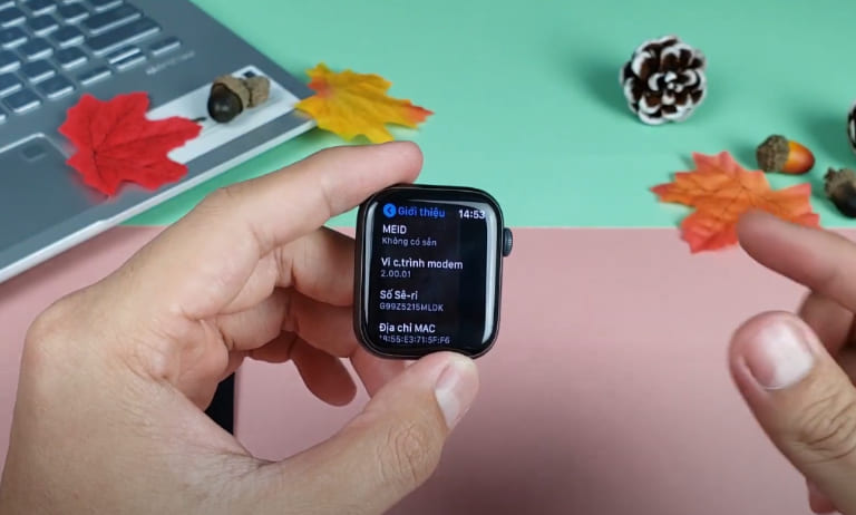 cách kiểm tra apple watch cũ nhanh chóng