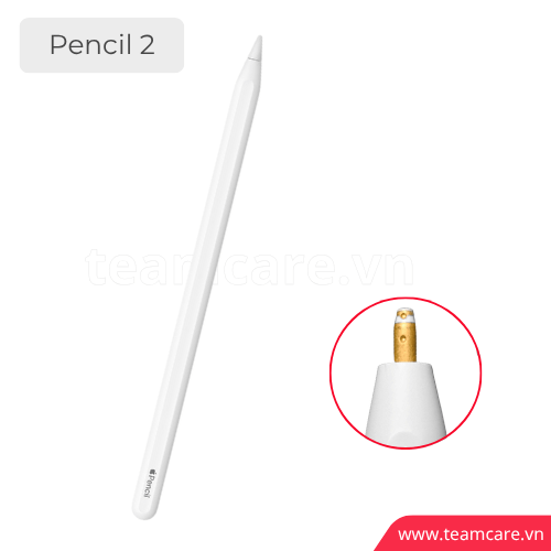 Thay ngòi kim loại Apple Pencil 2