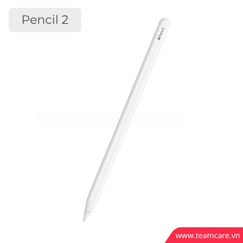 Thay vỏ Apple Pencil 2