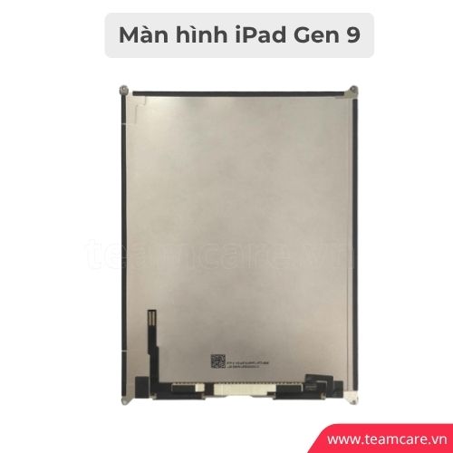 Thay màn hình iPad Gen 9